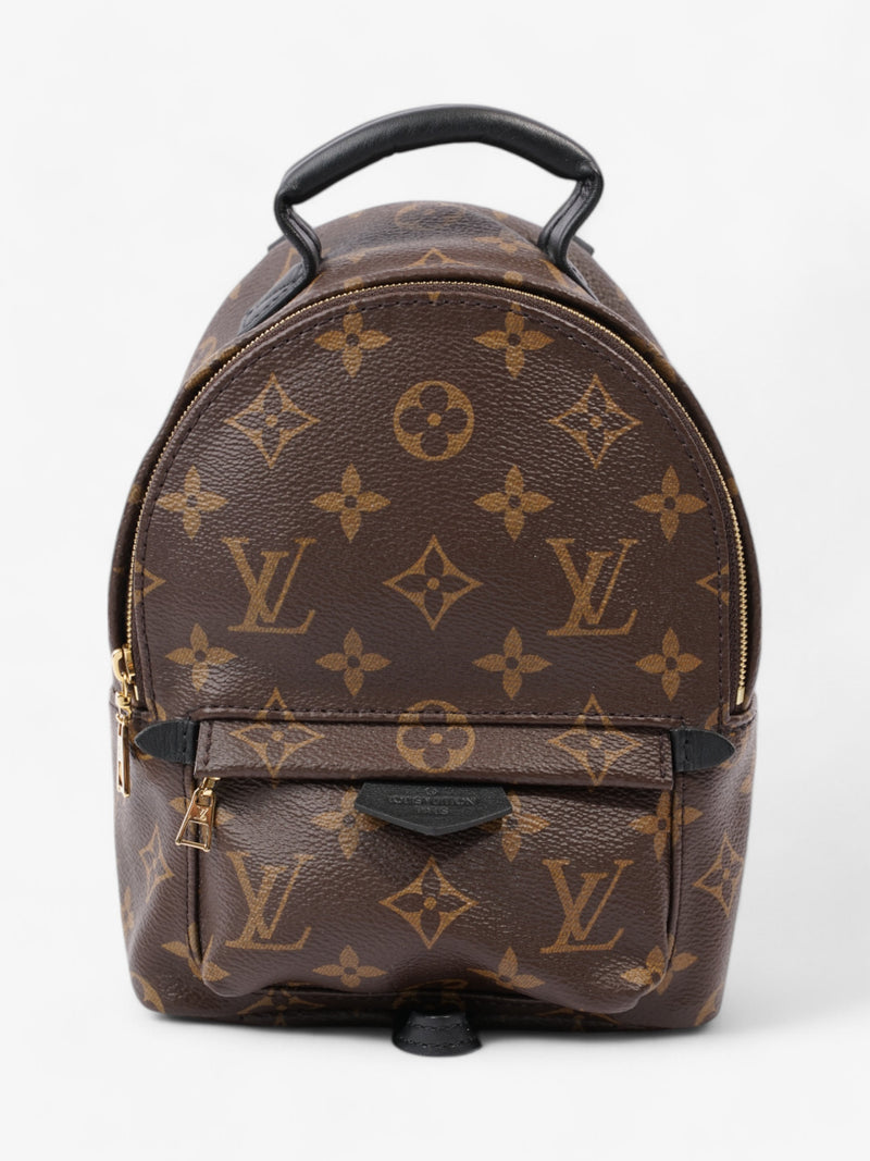 Louis Vuitton Palm Springs Monogram Coated Canvas Mini
