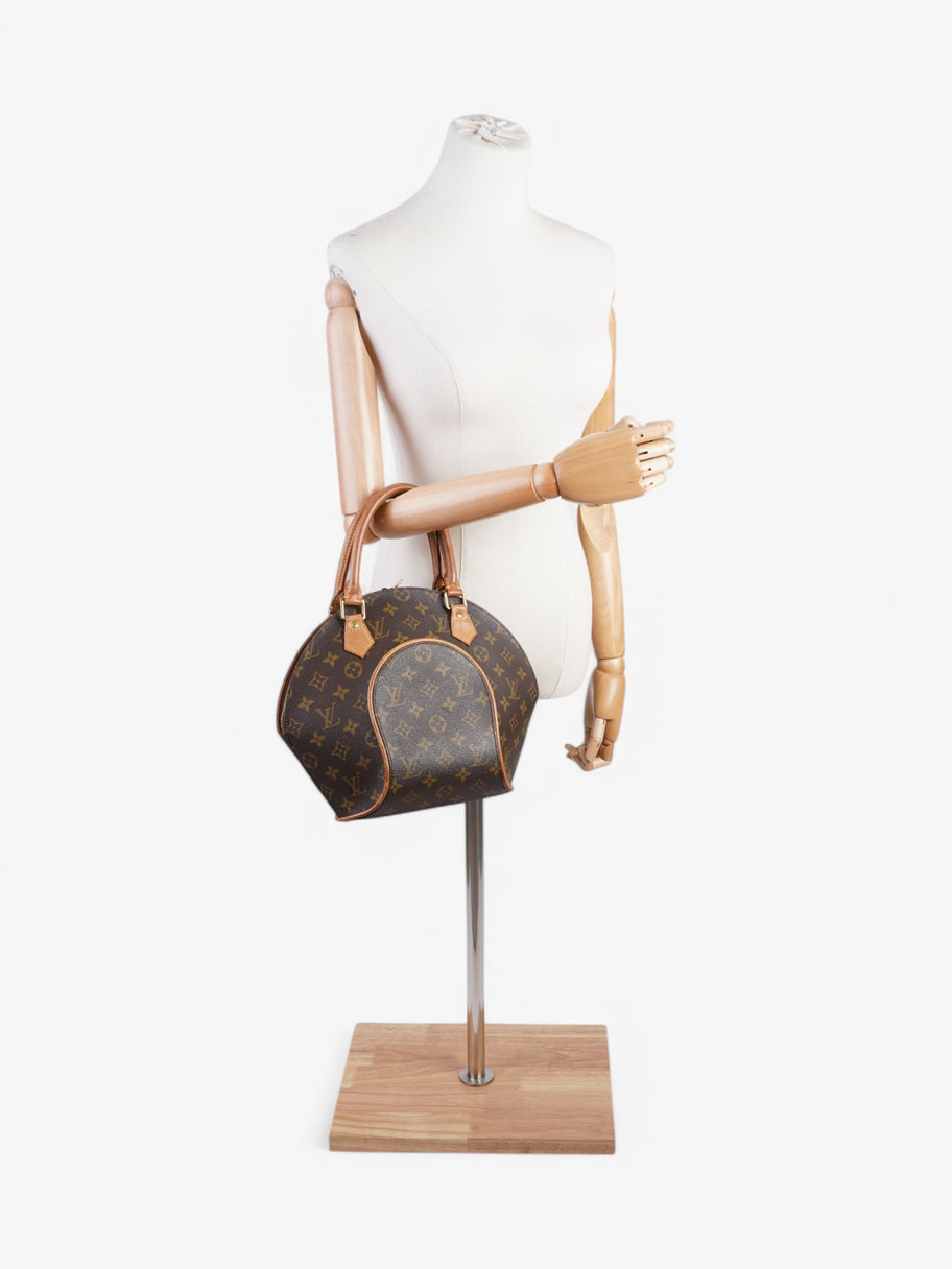 Louis Vuitton Ellipse Monogram Coated Canvas PM Image 2