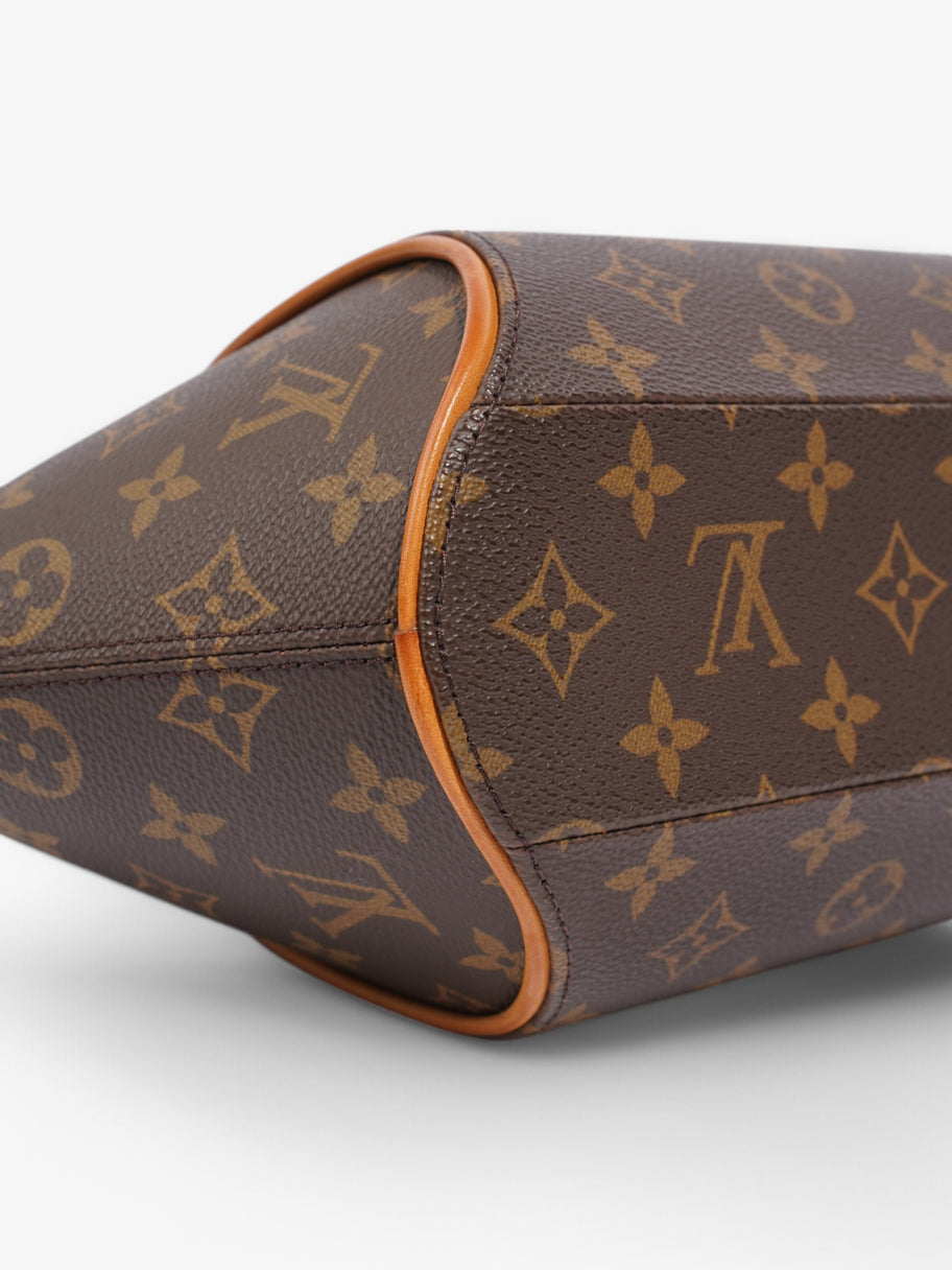 Louis Vuitton Ellipse Monogram Coated Canvas PM Image 8