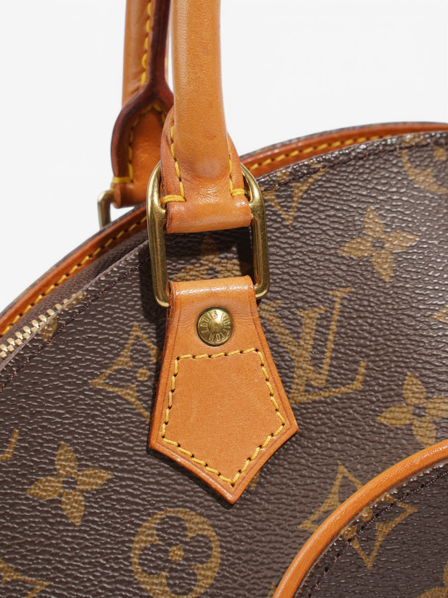 Louis Vuitton Ellipse Monogram Coated Canvas PM Image 9