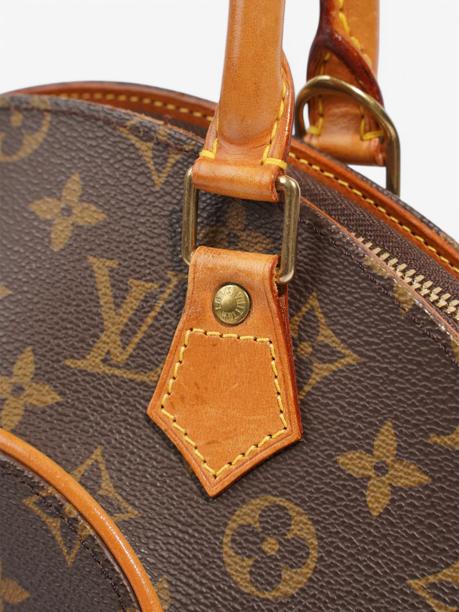 Louis Vuitton Ellipse Monogram Coated Canvas PM Image 10