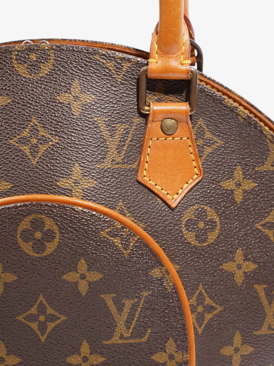 Louis Vuitton Ellipse Monogram Coated Canvas PM Image 7