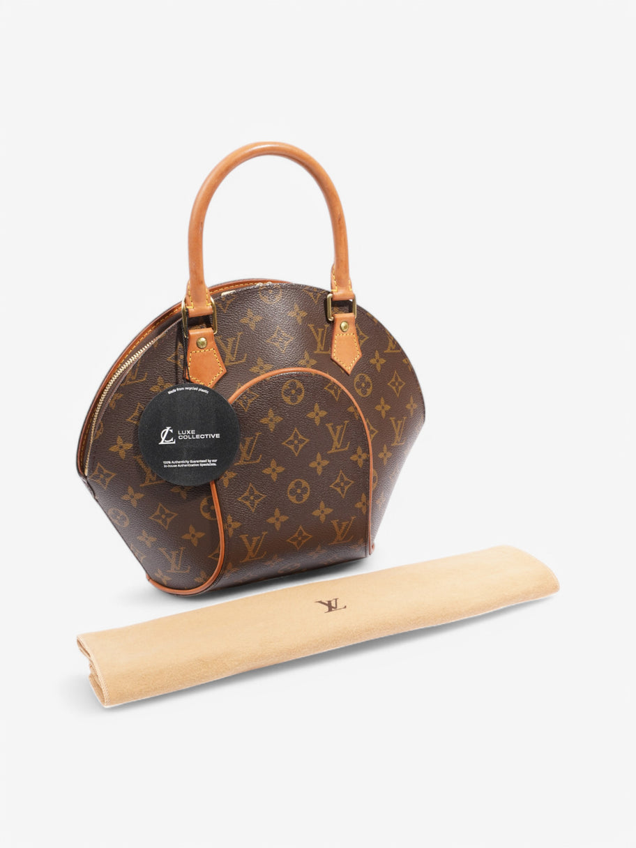 Louis Vuitton Ellipse Monogram Coated Canvas PM Image 9