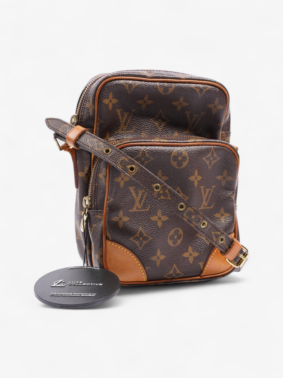 Louis Vuitton Amazon Monogram Coated Canvas Image 10