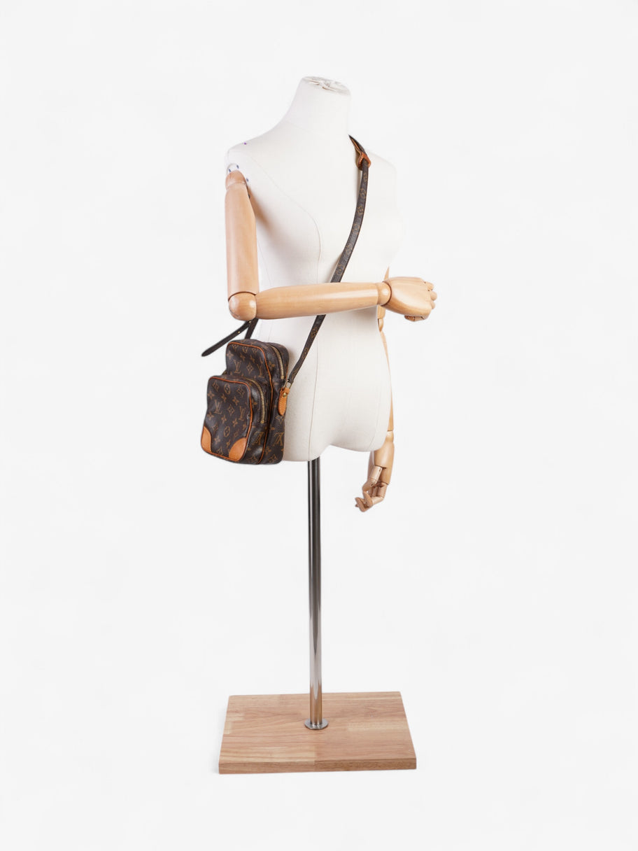 Louis Vuitton Amazon Monogram Coated Canvas Image 2