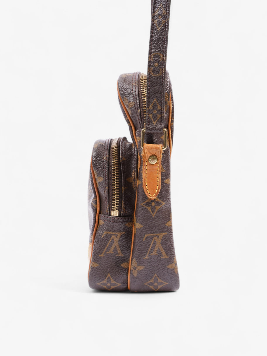 Louis Vuitton Amazon Monogram Coated Canvas Image 3