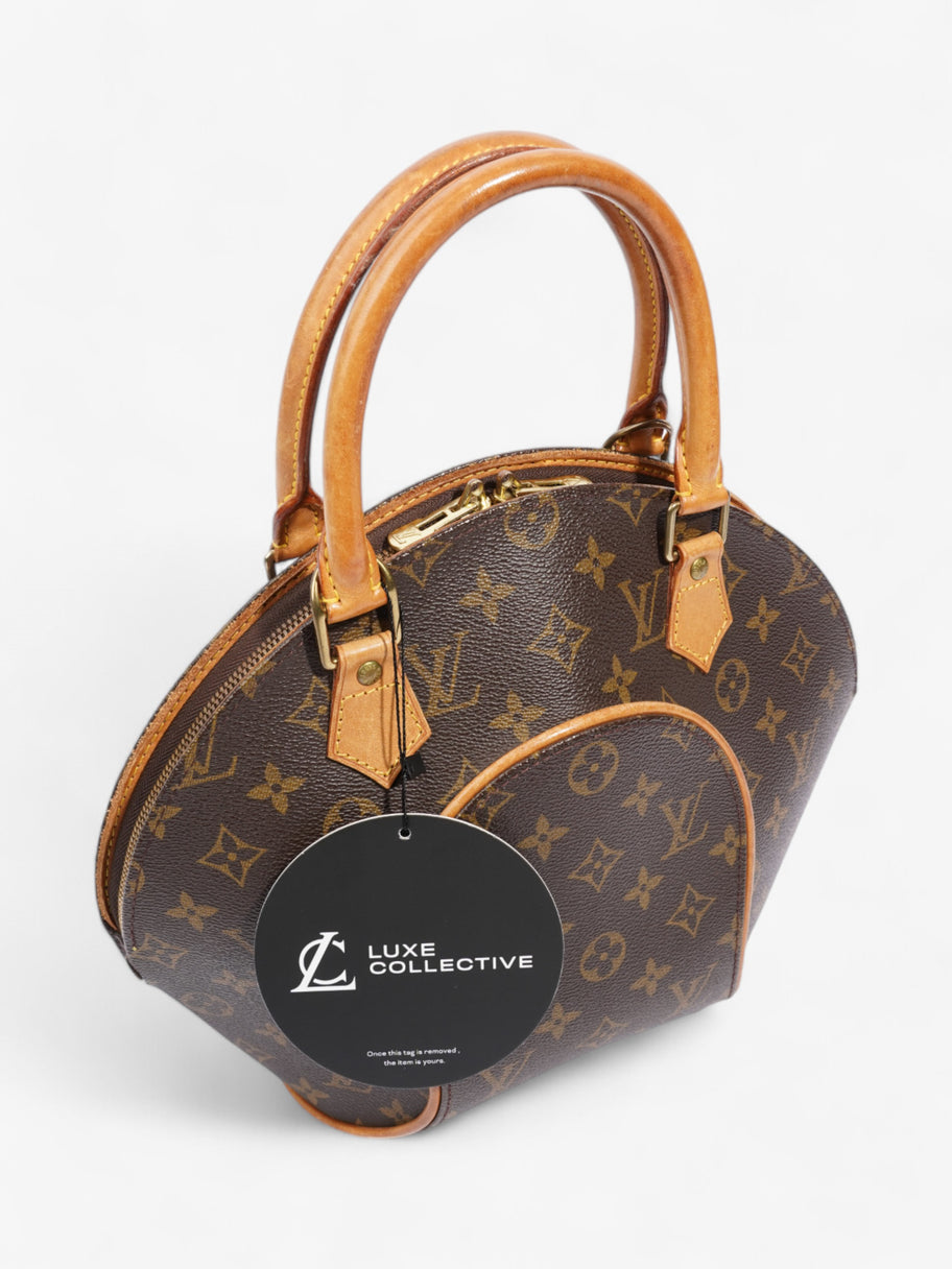 Louis Vuitton Ellipse Monogram Canvas PM Image 12
