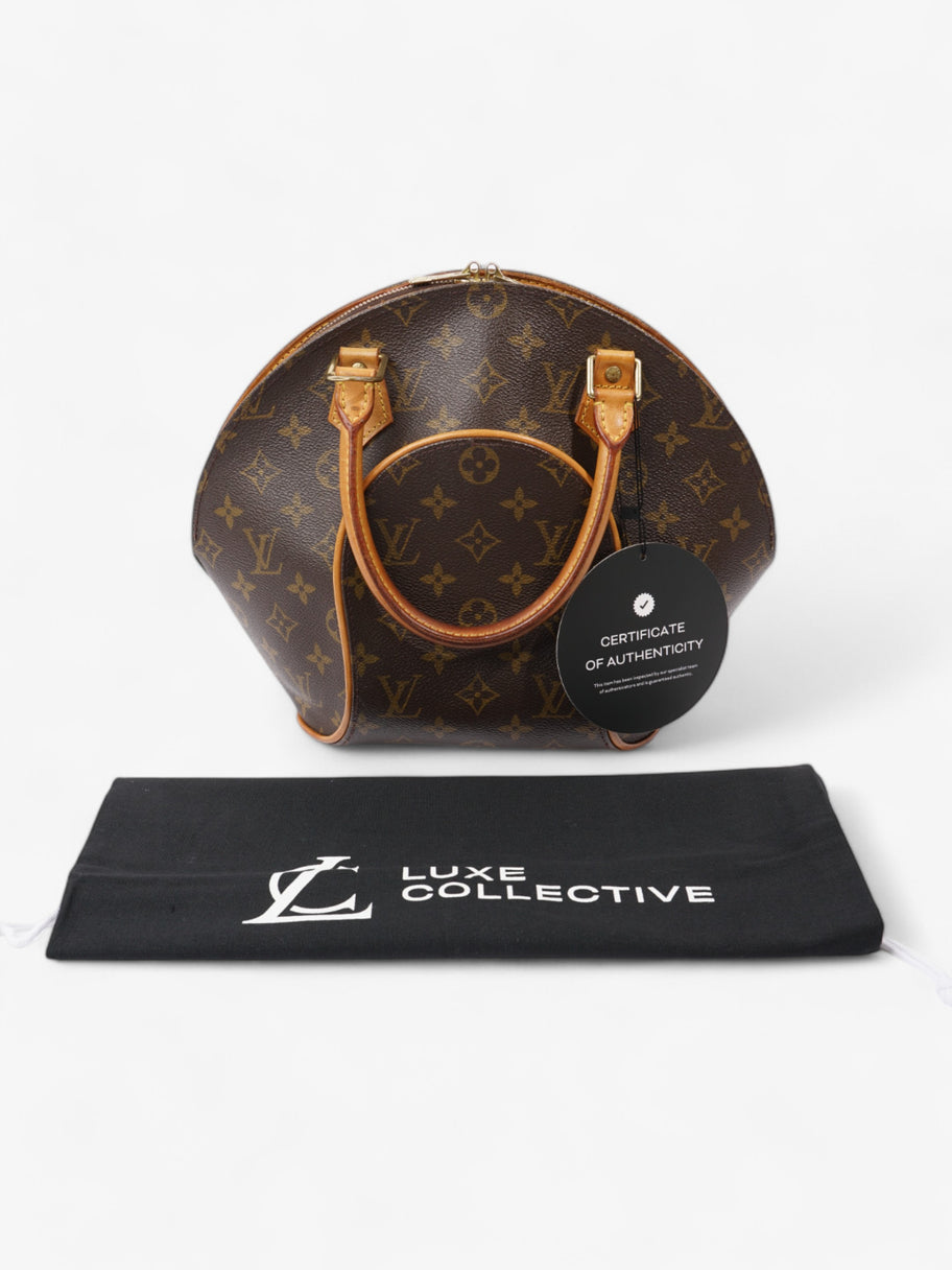 Louis Vuitton Ellipse Monogram Coated Canvas PM Image 9