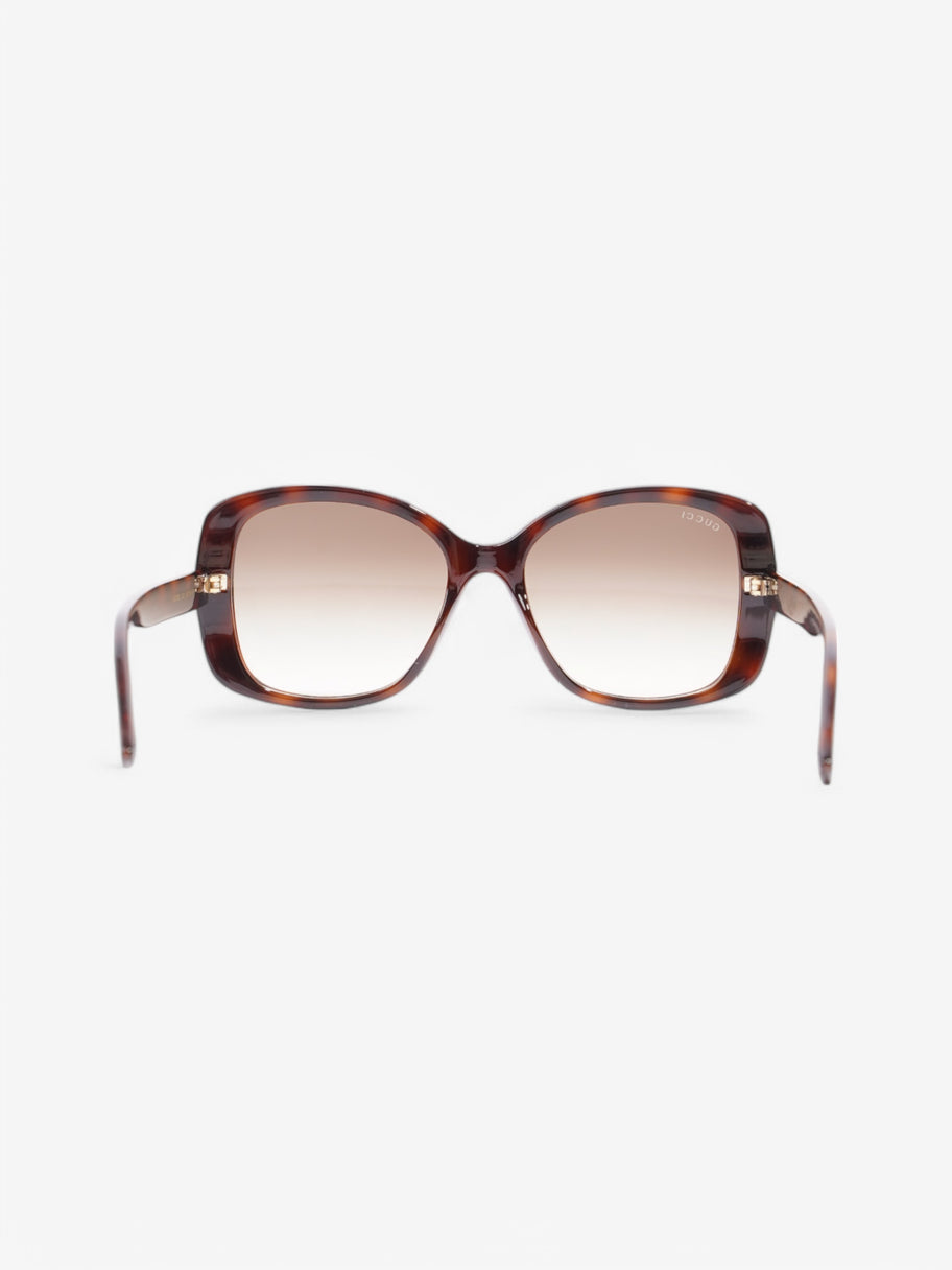 Gucci GG Sunglasses Tortoise  / Gold Acetate 145mm Image 3