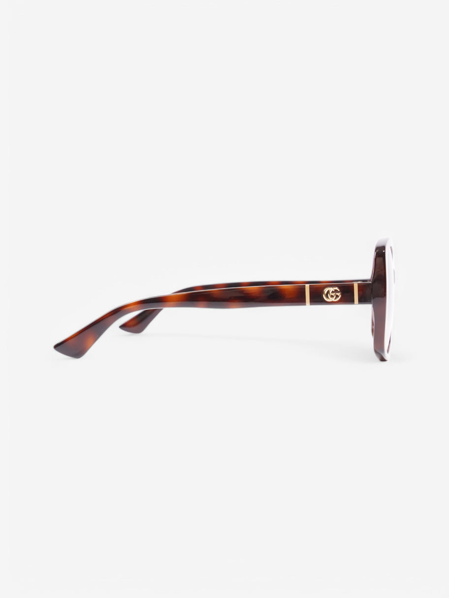 Gucci GG Sunglasses Tortoise  / Gold Acetate 145mm Image 4