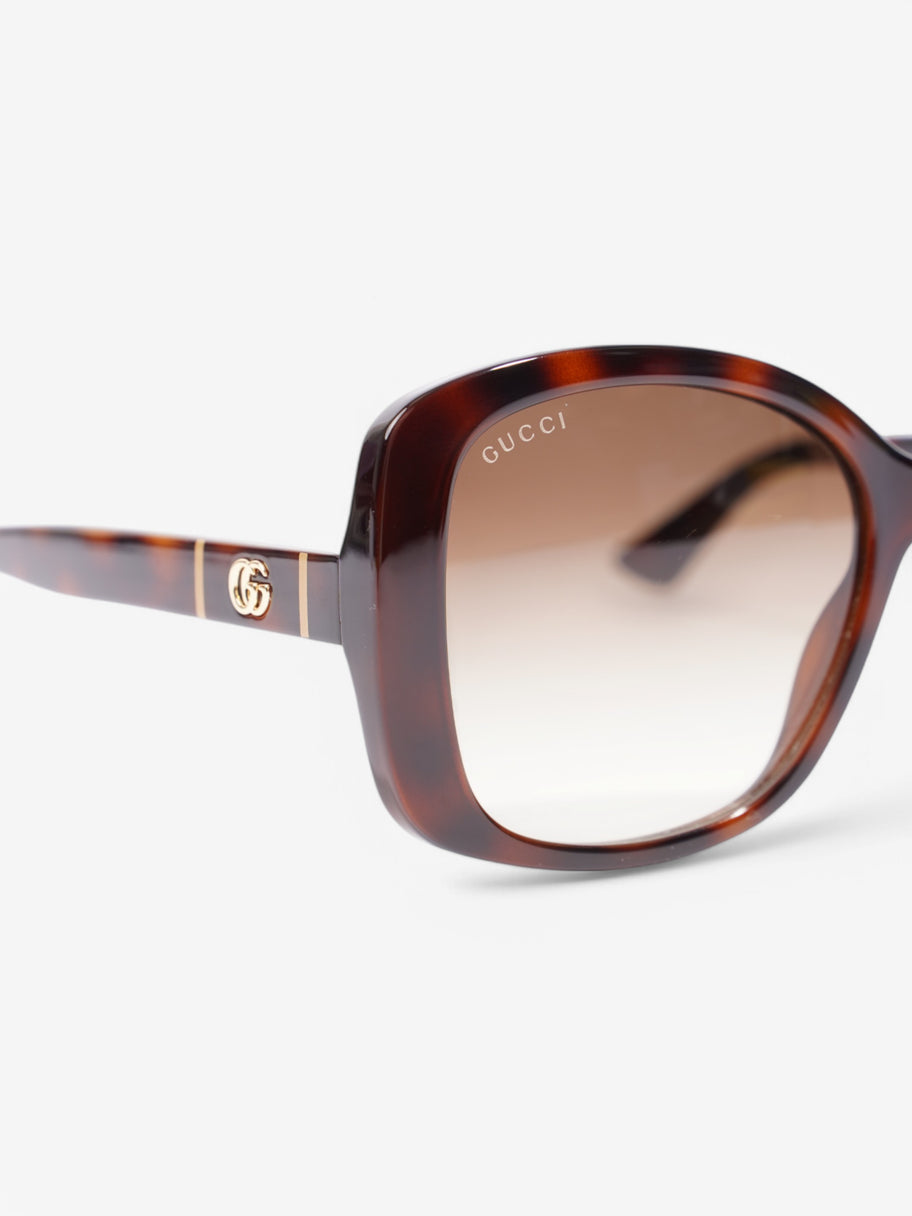 Gucci GG Sunglasses Tortoise  / Gold Acetate 145mm Image 6