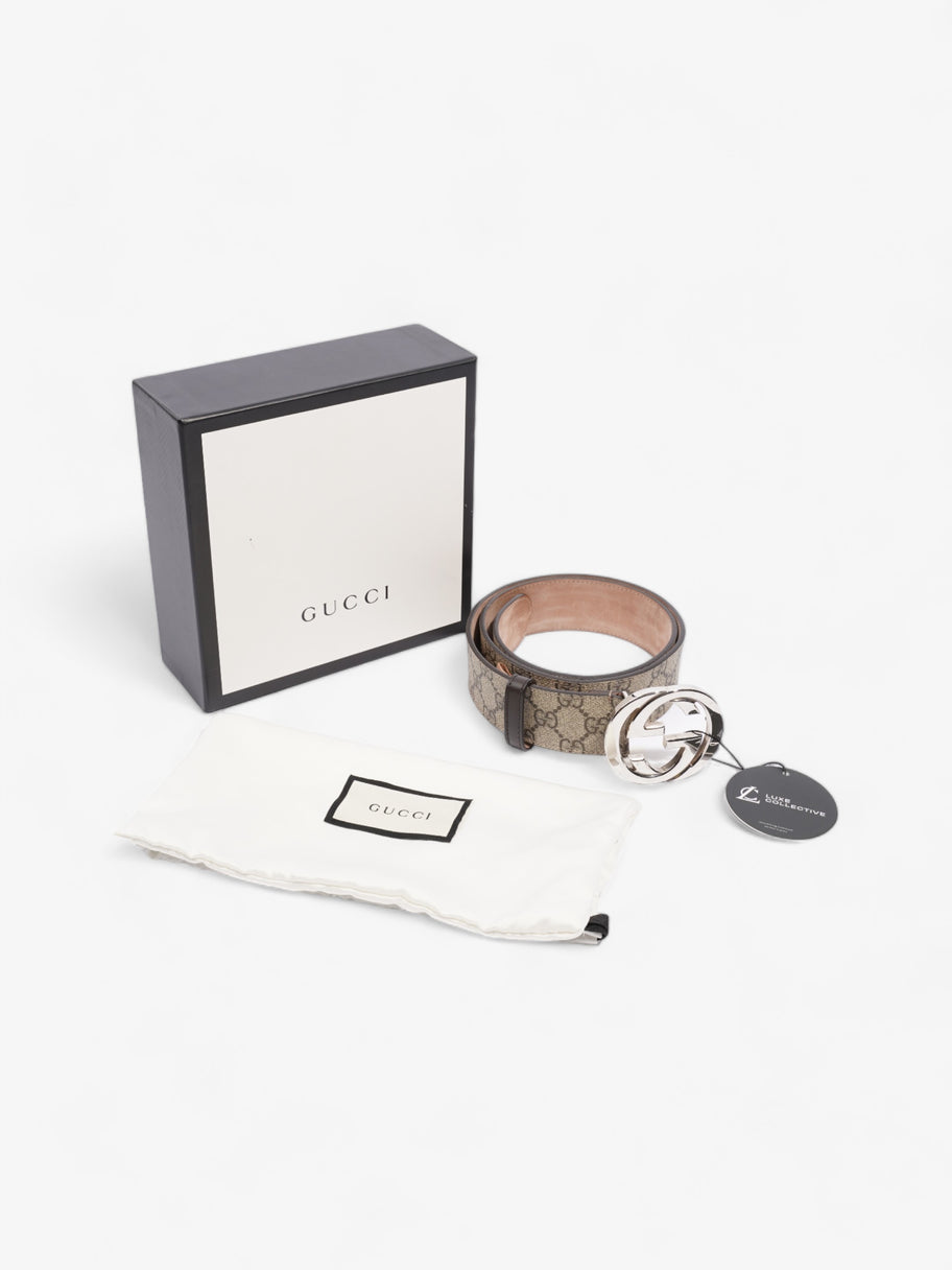Gucci Blondie Belt Beige / Ebony Canvas 85cm / 34