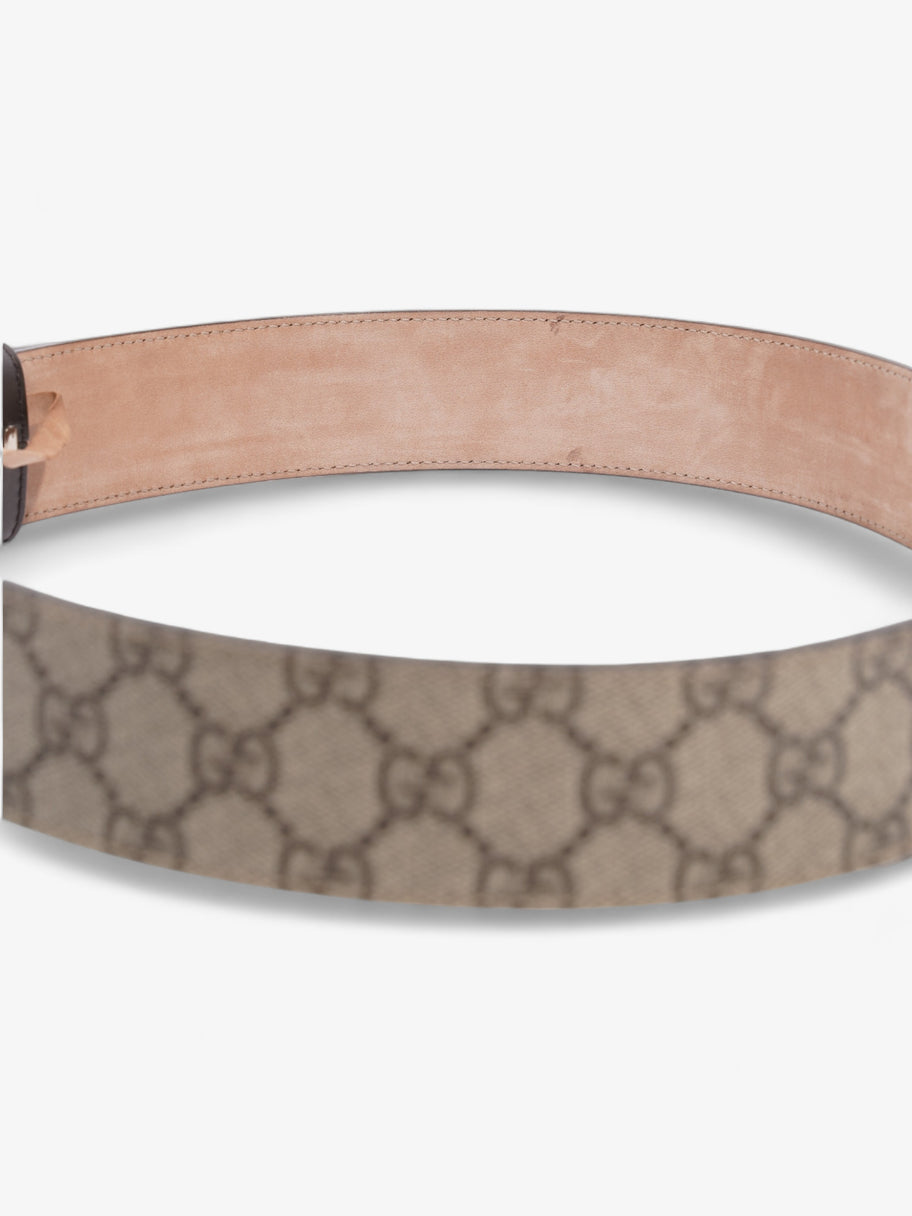 Gucci Blondie Belt Beige / Ebony Canvas 85cm / 34