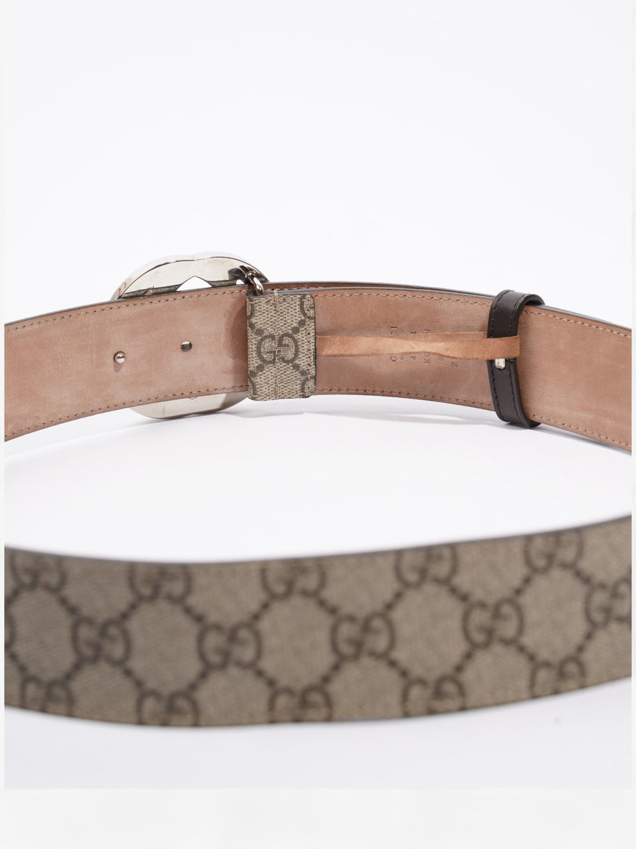 Gucci Blondie Belt Beige / Ebony Canvas 85cm / 34