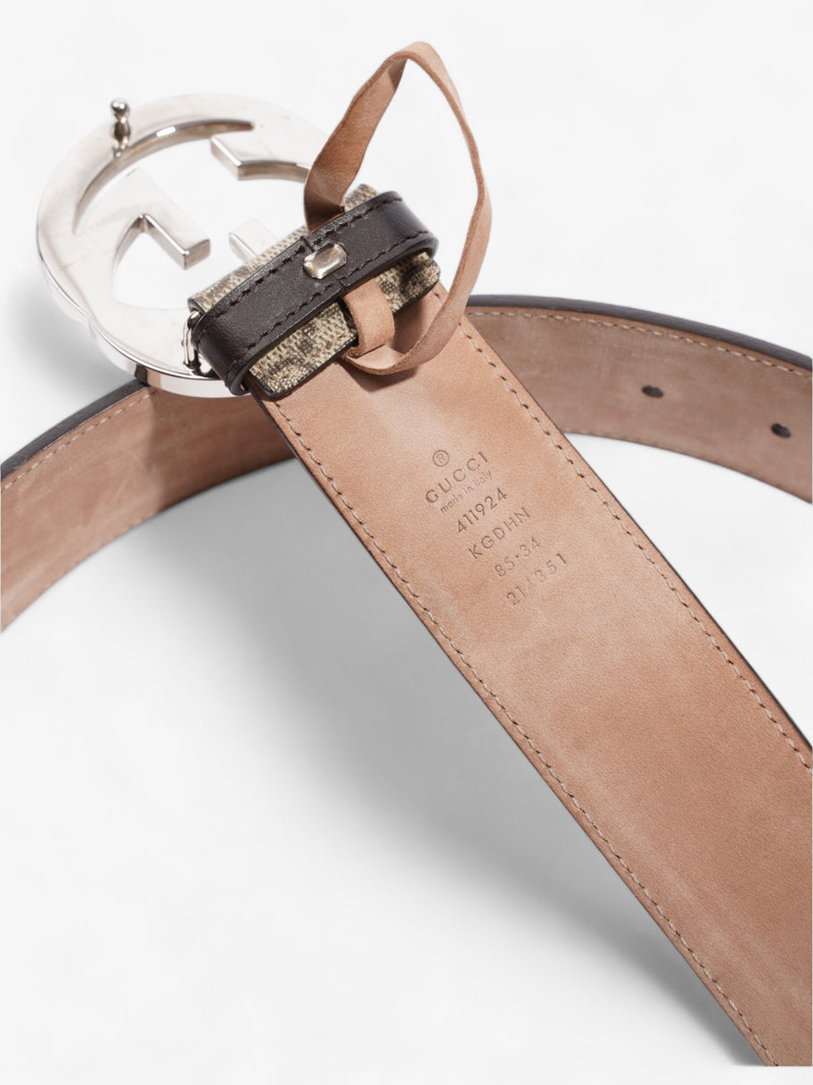 Gucci Blondie Belt Beige / Ebony Canvas 85cm / 34
