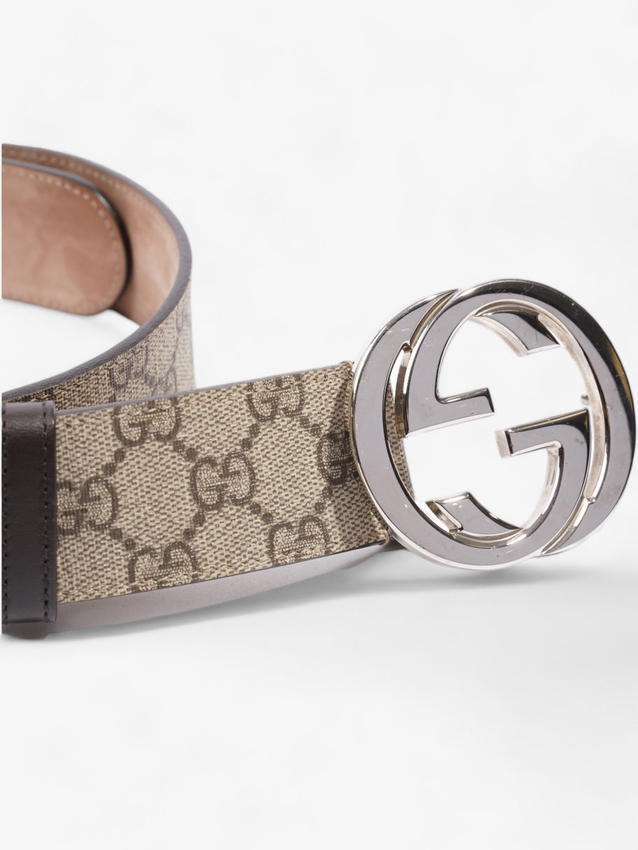 Gucci Blondie Belt Beige / Ebony Canvas 85cm / 34