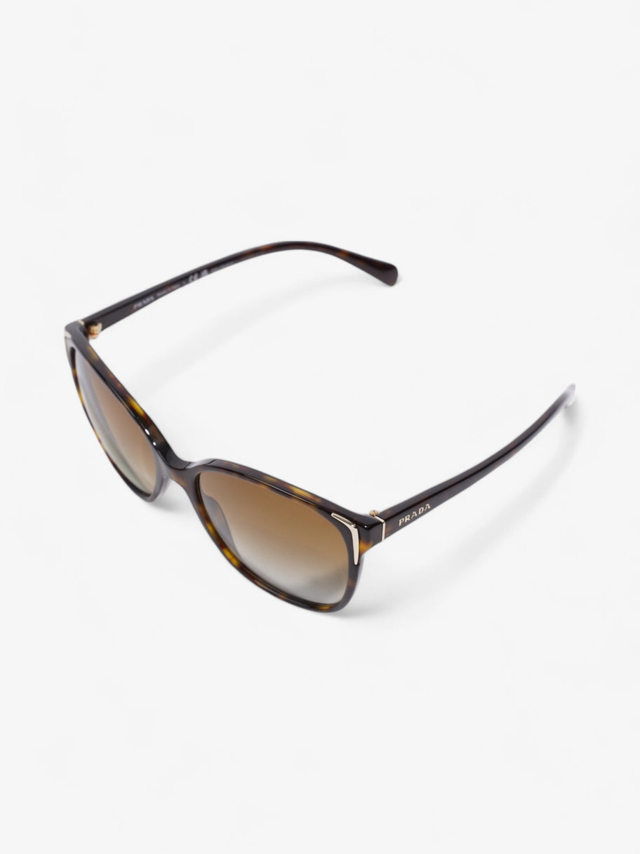 Prada Square Framed Sunglasses Tortoise  / Light Gold Acetate 140mm Image 5