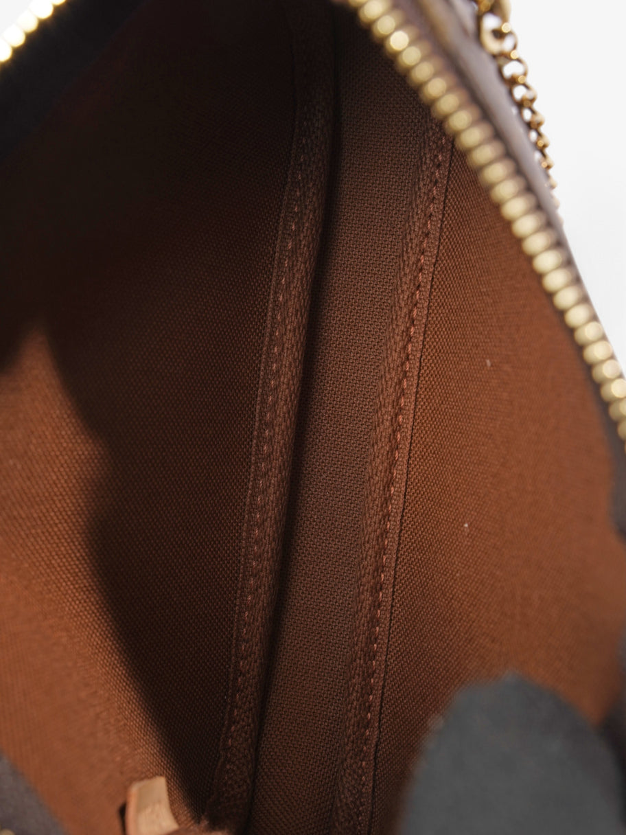 Louis Vuitton Mini Pochette Accessoires Monogram Coated Canvas Image 9