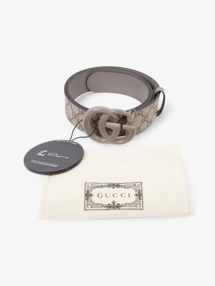 Gucci Marmont Belt Supreme Coated Canvas 90cm 36