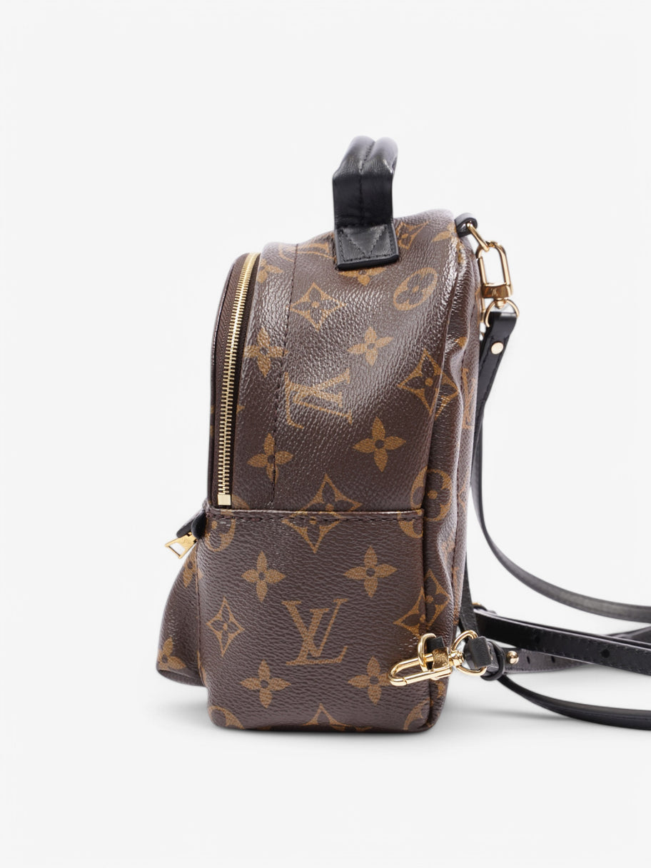 Louis Vuitton Palm Springs Mini Backpack Monogram / Black Coated Canvas Mini Image 3