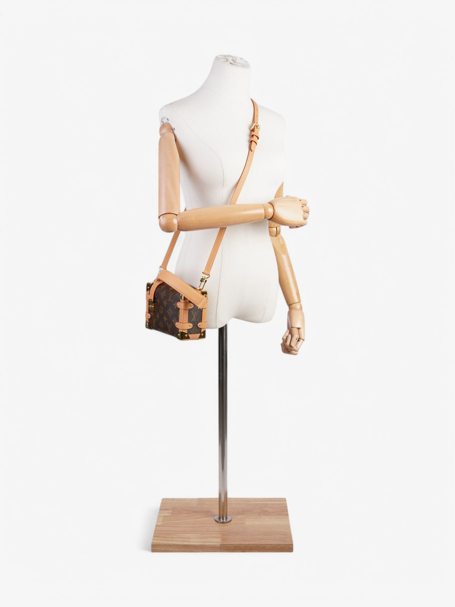 Louis Vuitton Side Trunk Monogram Coated Canvas PM Image 2