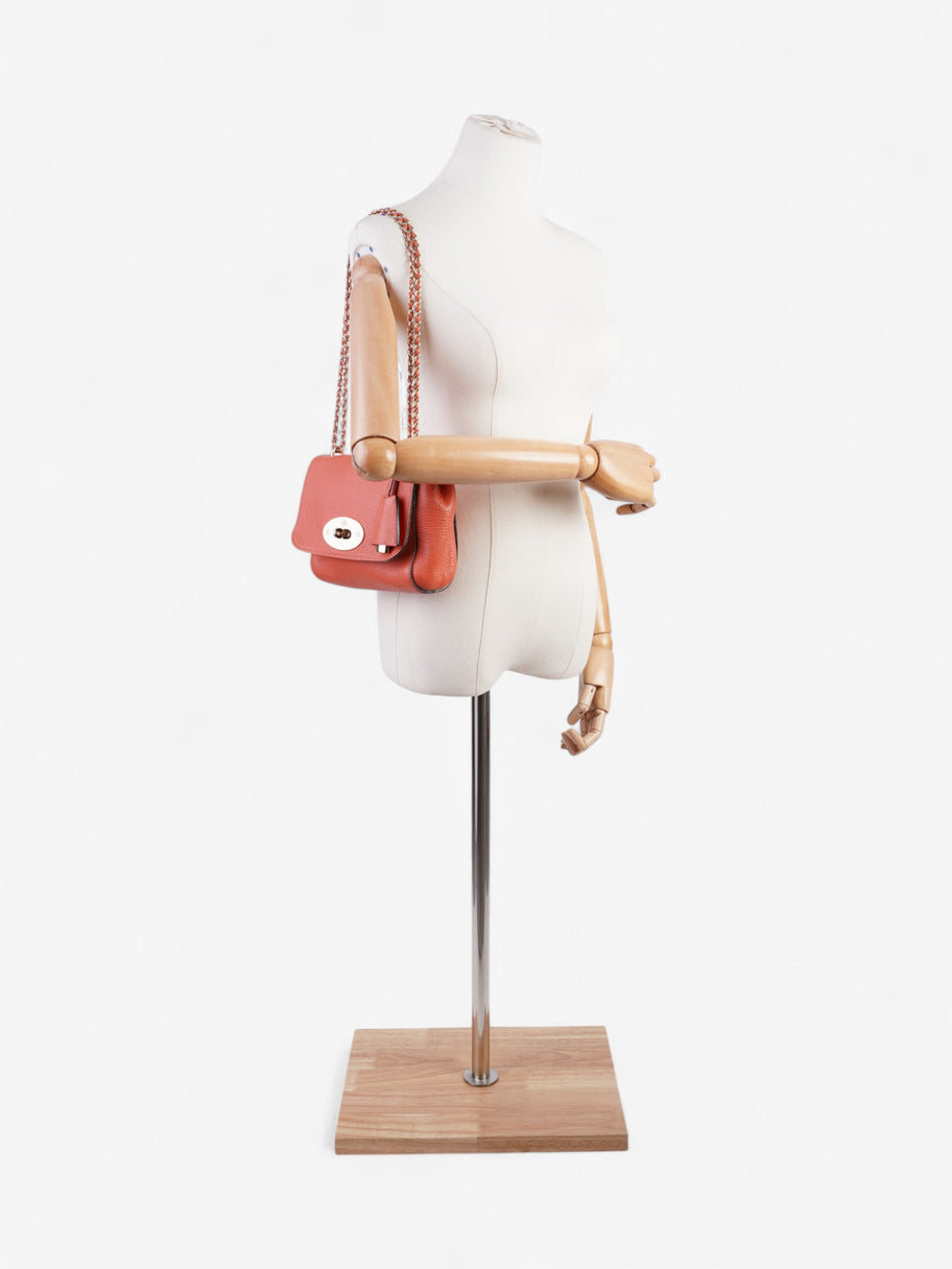 Mulberry Lily Peach Leather Small Image 2