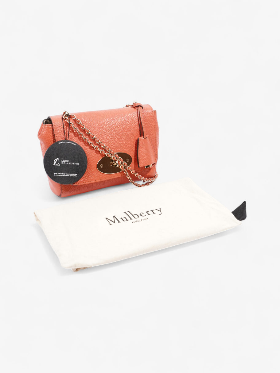 Mulberry Lily Peach Leather Small Image 9