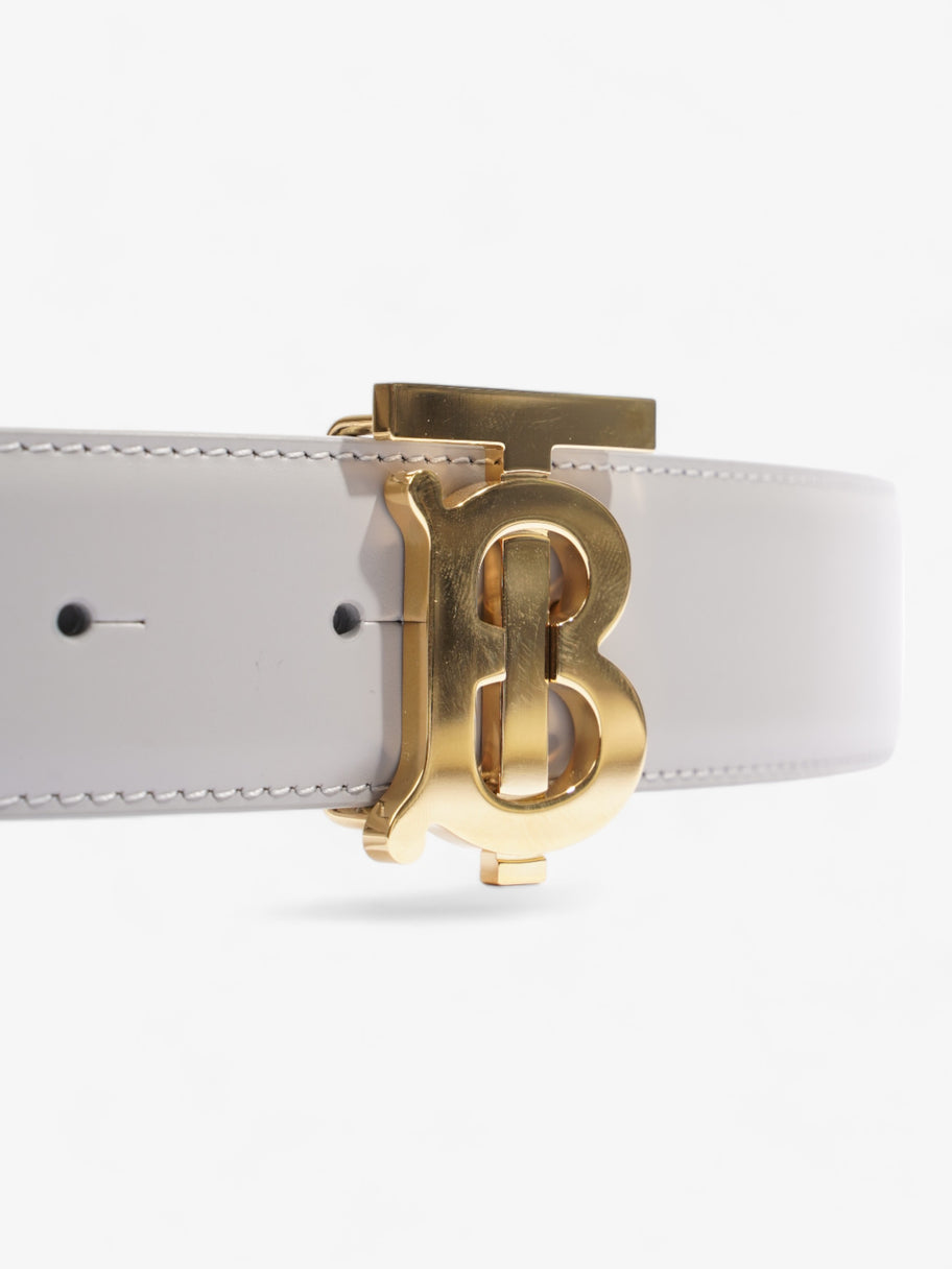Burberry TB Belt Grey Leather Medium Image 4