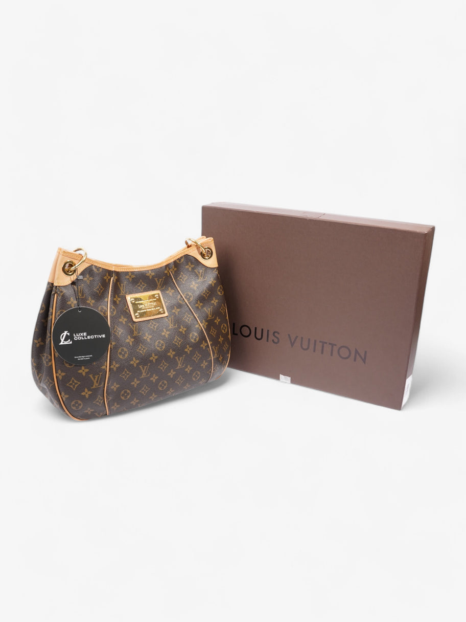 Louis Vuitton Galliera Monogram Coated Canvas PM Image 9