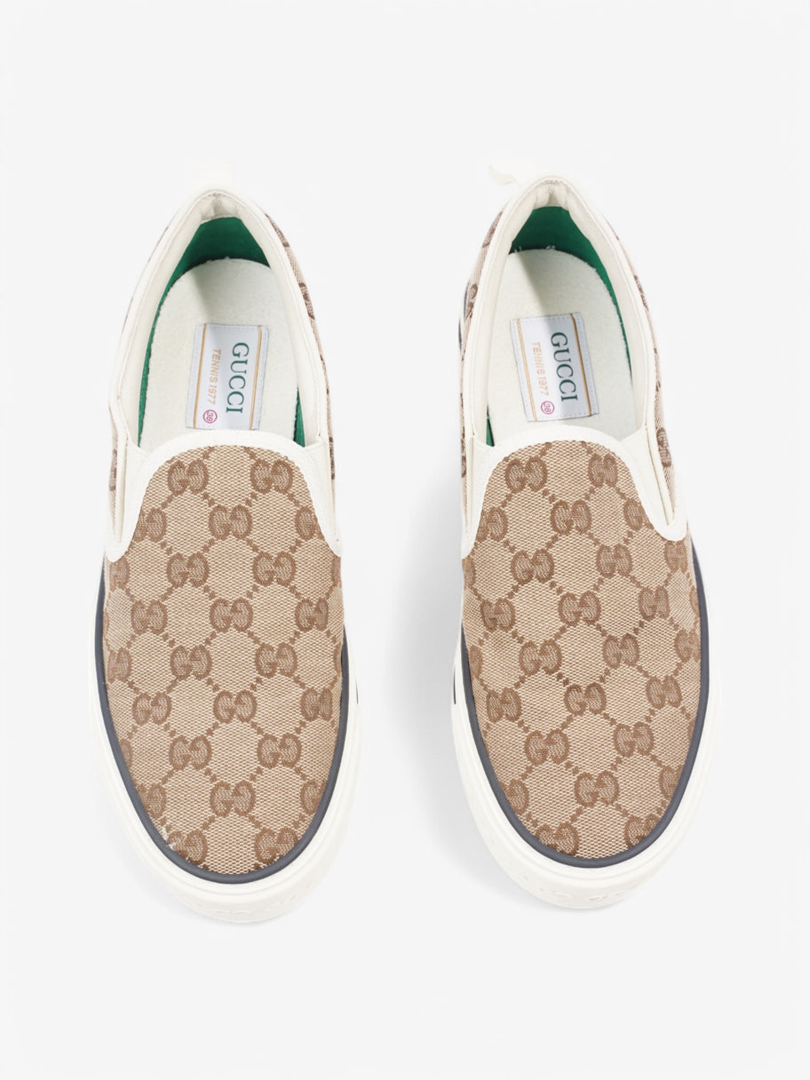 Gucci Tennis 1977 Beige  / White Canvas EU 38 UK 5 Image 8