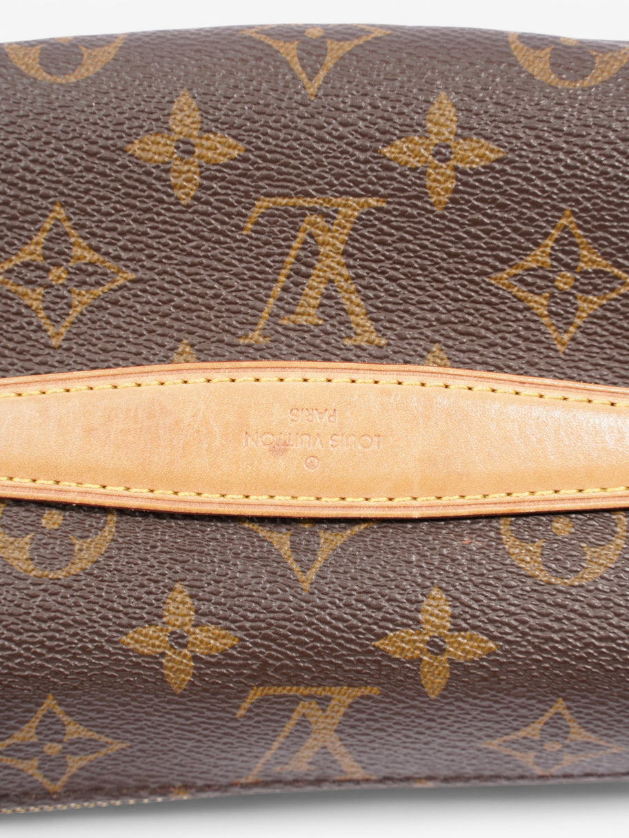 Louis Vuitton Bumbag Monogram Coated Canvas Image 9