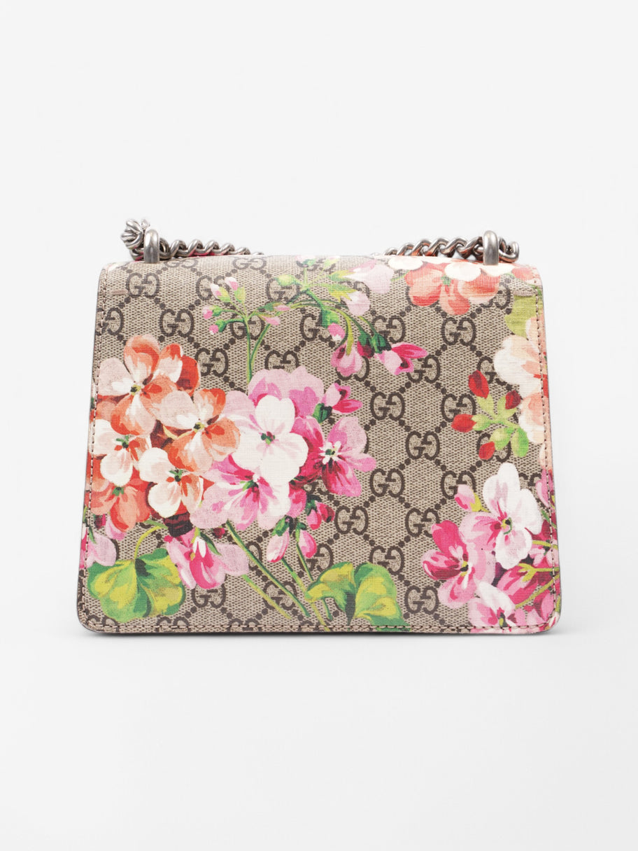 Gucci Dionysus Beige  / Floral Coated Canvas Mini Image 4