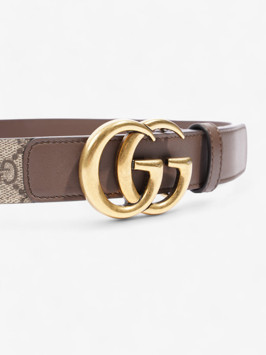 Gucci GG Marmont Belt Gold / GG Supreme Canvas 80cm / 32