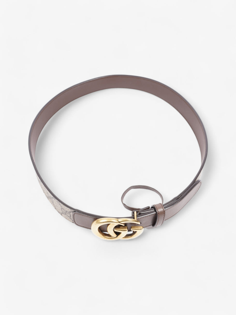 Gucci GG Marmont Belt Gold / GG Supreme Canvas 80cm / 32