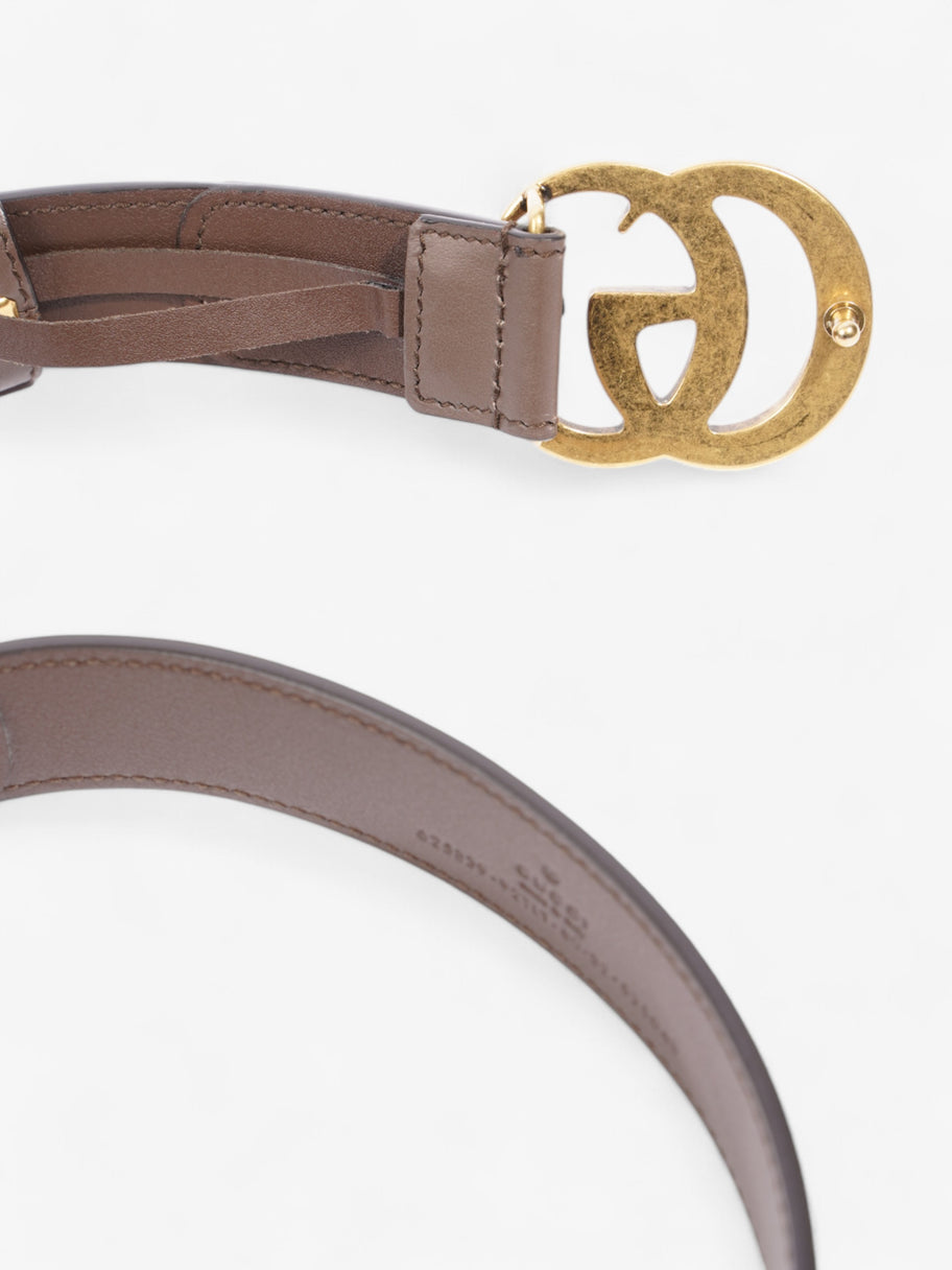 Gucci GG Marmont Belt Gold / GG Supreme Canvas 80cm / 32