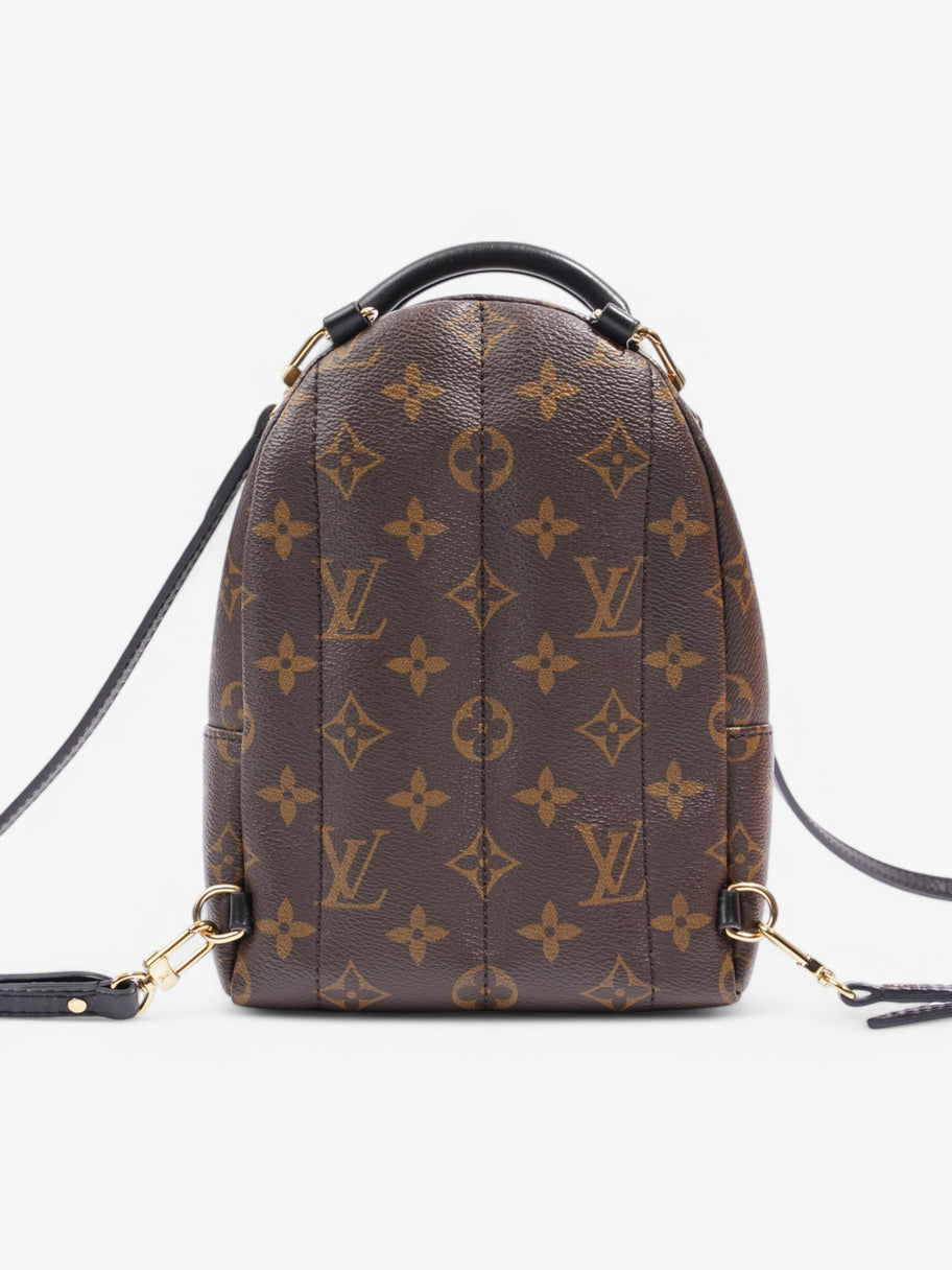 Louis Vuitton Mini Palm Springs Monogram Coated Canvas Mini Image 4