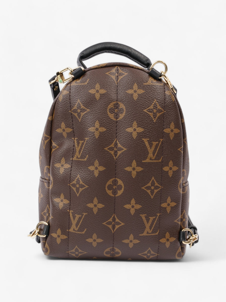 Louis Vuitton Palm Springs Monogram Coated Canvas Mini Image 4
