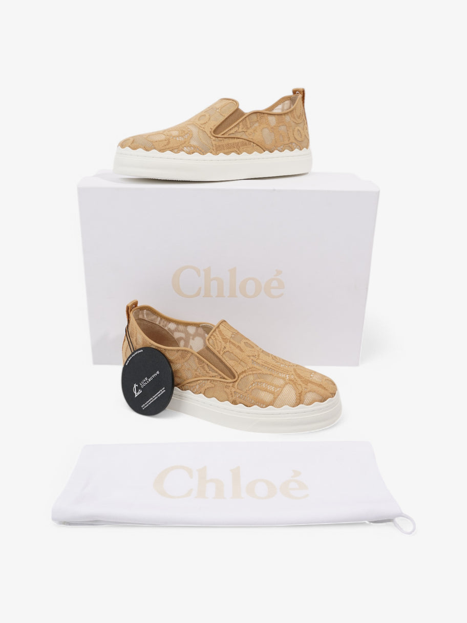 Chloe Lauren Lace Slip Beige  Lace EU 39 UK 6 Image 9