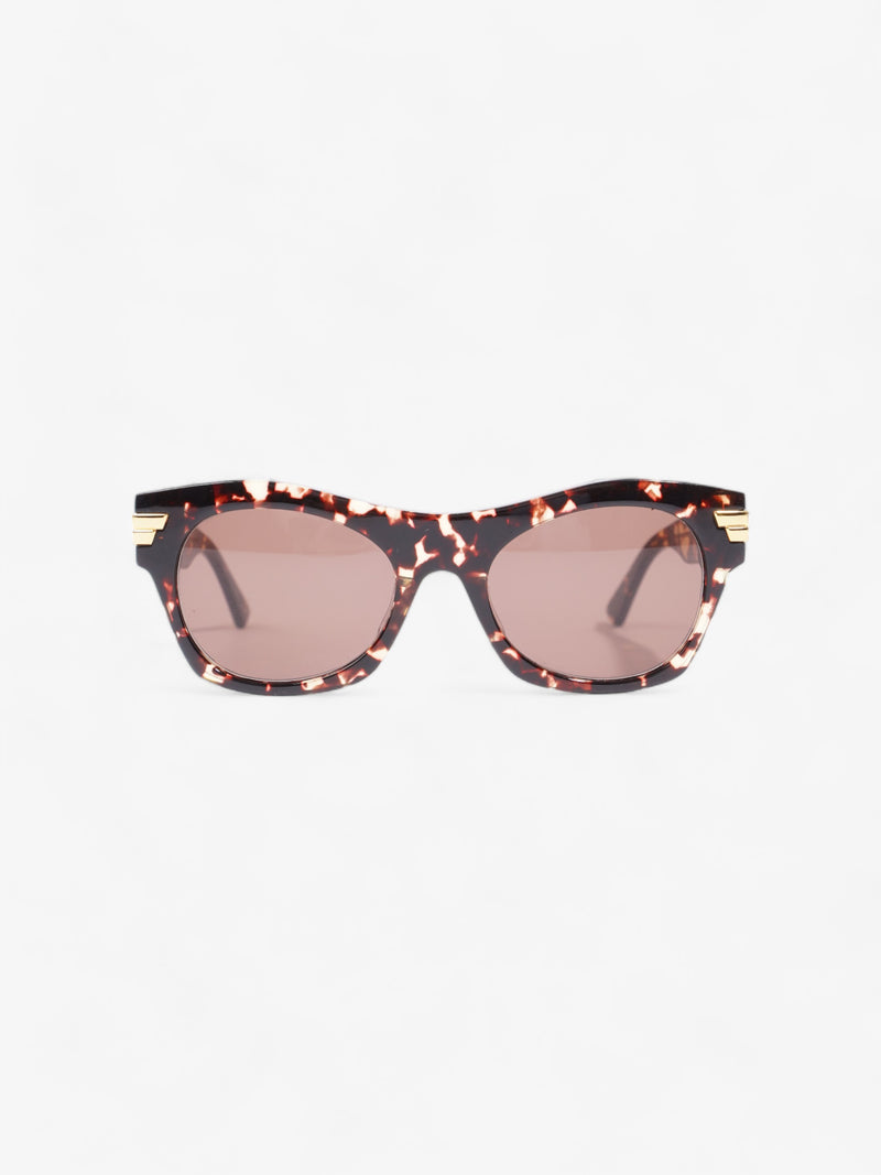  Bottega Veneta Round Sunglasses Havana Brown Acetate 145mm