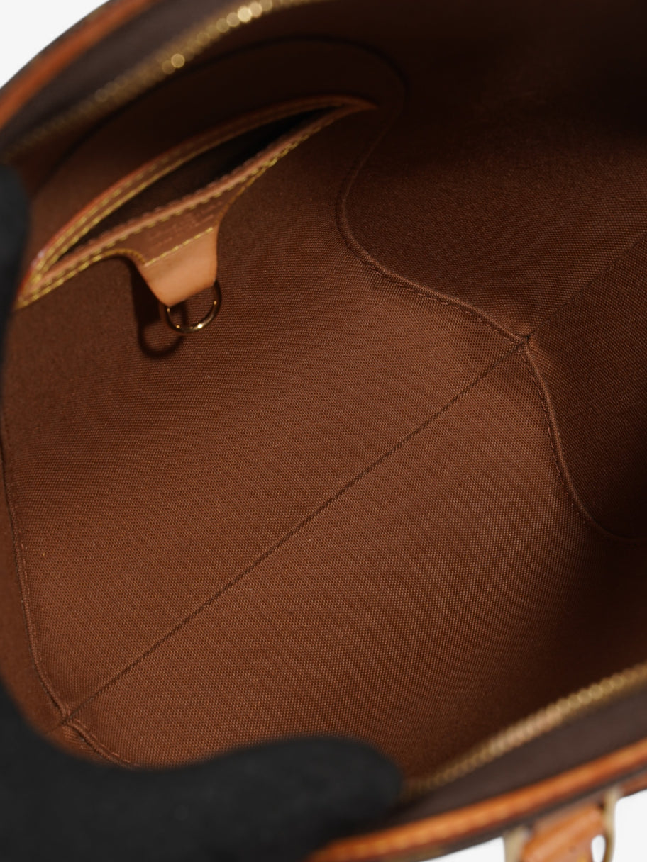 Louis Vuitton Ellipse Monogram Coated Canvas PM Image 9