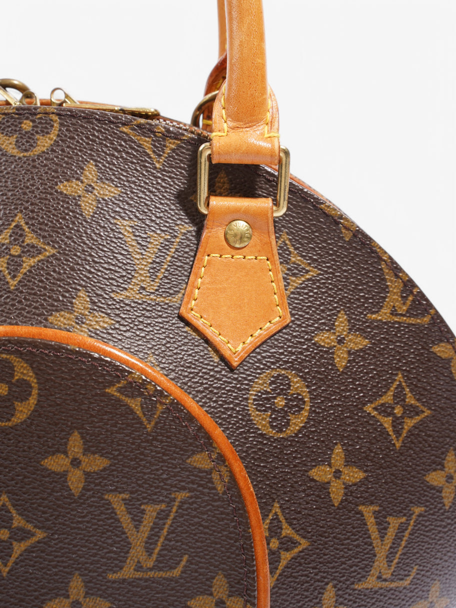 Louis Vuitton Ellipse Monogram Coated Canvas PM Image 7