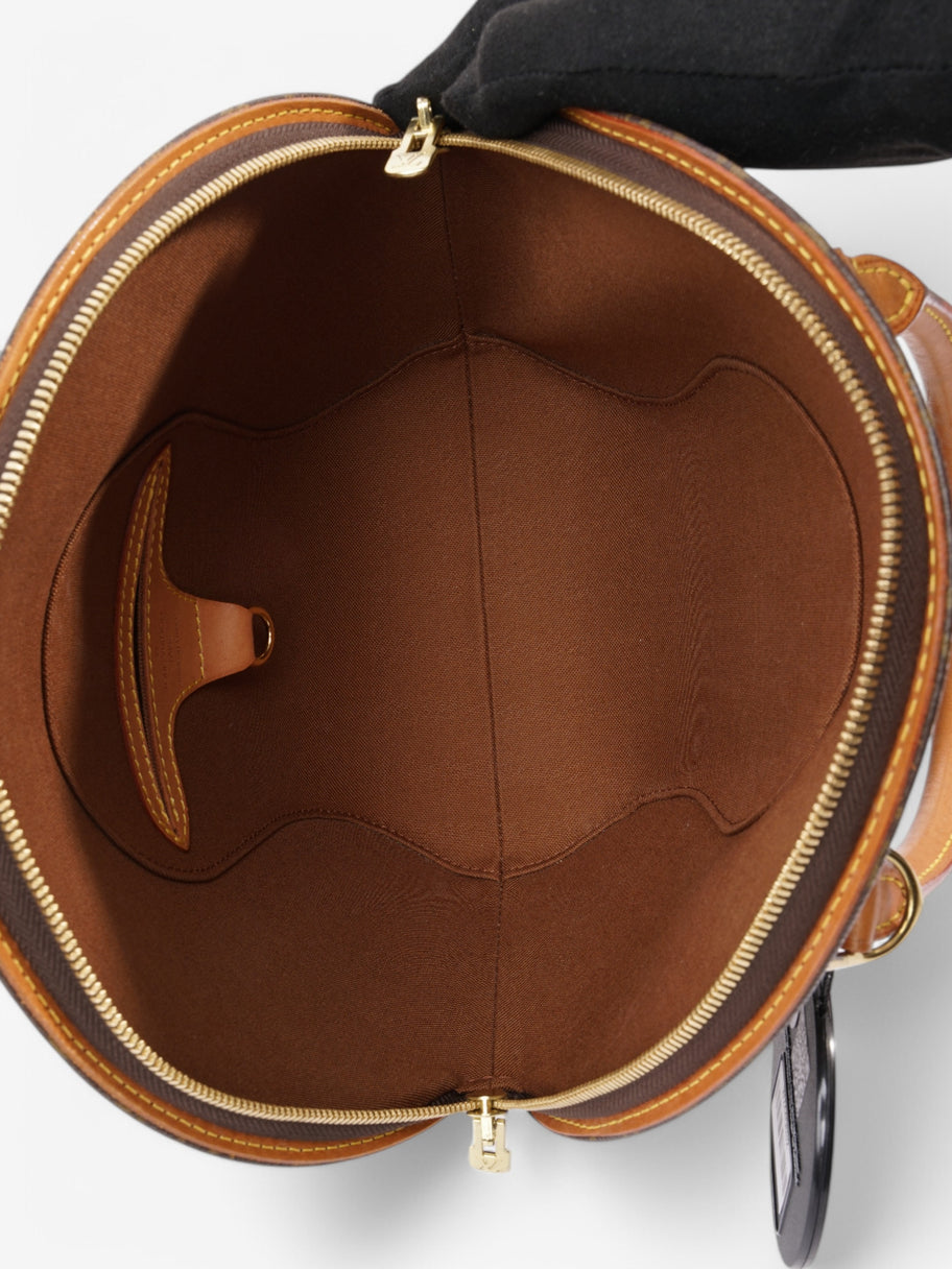 Louis Vuitton Ellipse Monogram Coated Canvas PM Image 8