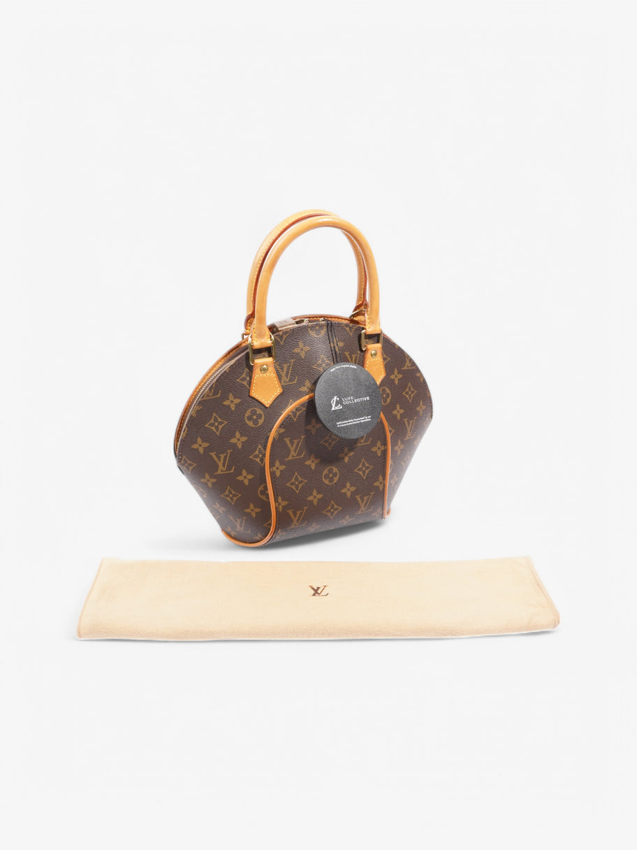Louis Vuitton Ellipse Monogram Coated Canvas PM Image 9