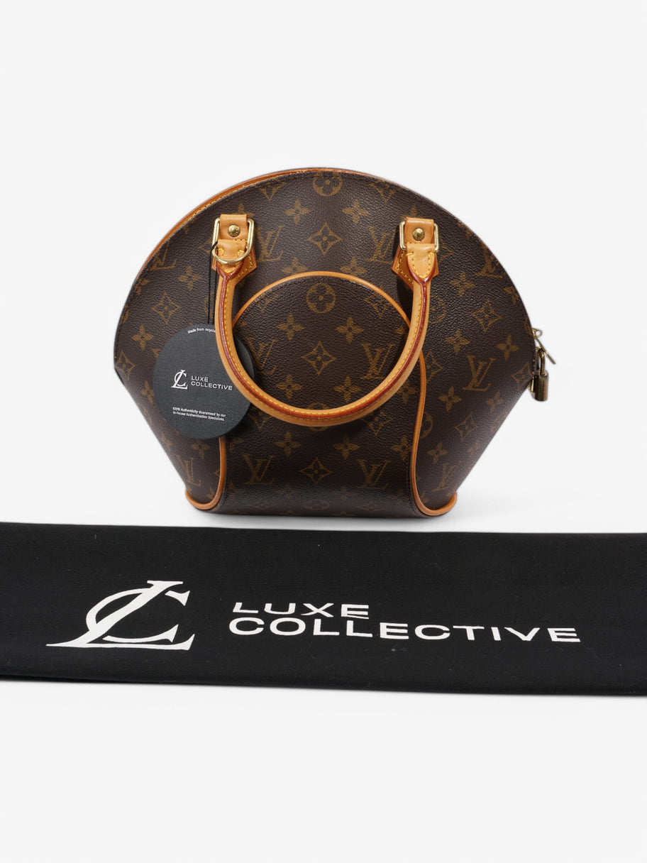 Louis Vuitton Ellipse Monogram Coated Canvas PM Image 9