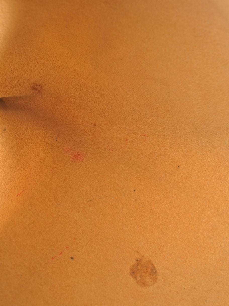 Louis Vuitton Galliera  Monogram Coated Canvas PM Image 10