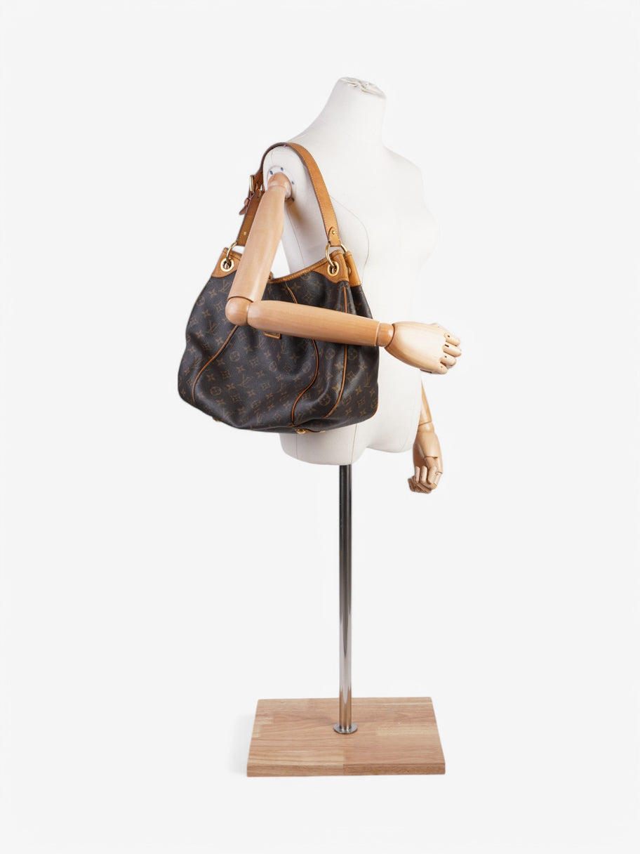 Louis Vuitton Galliera  Monogram Coated Canvas PM Image 2