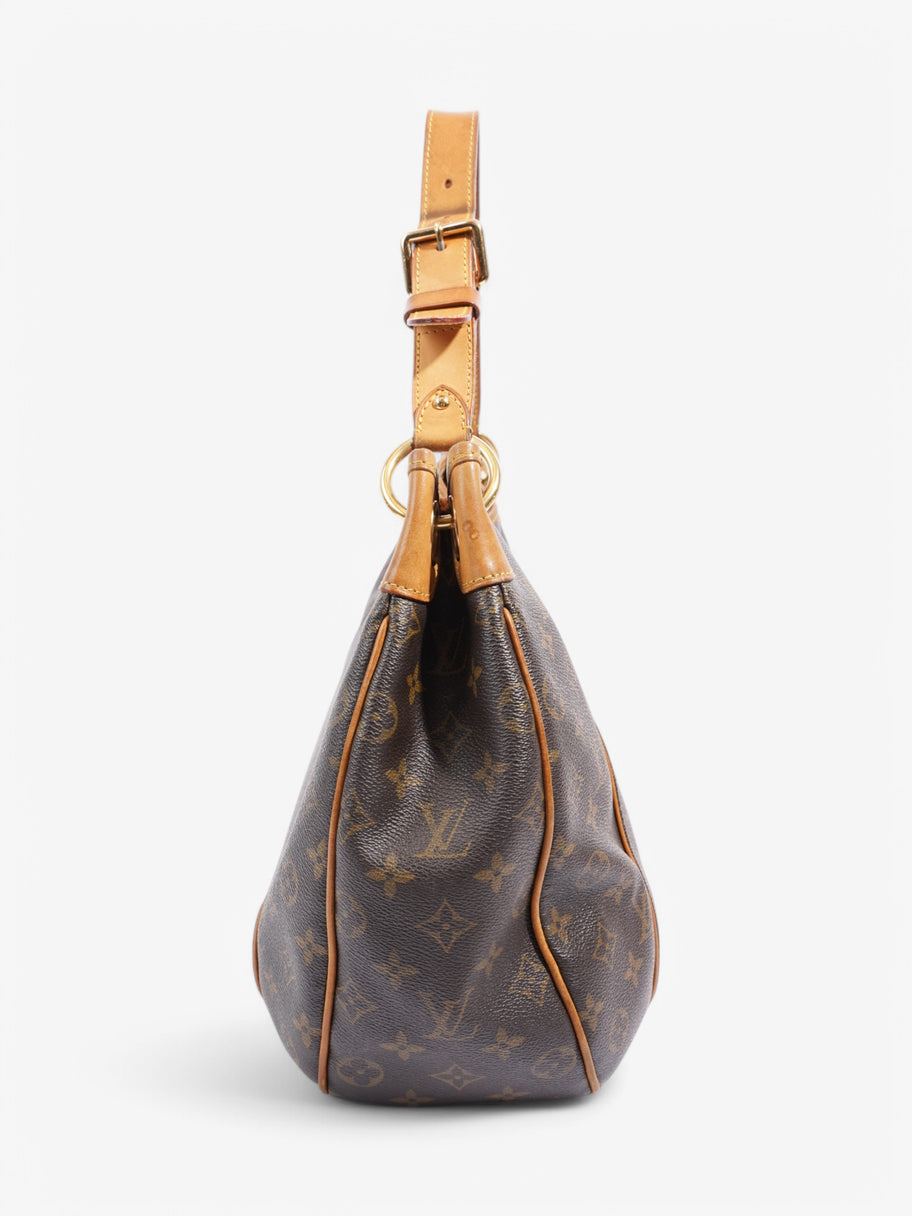 Louis Vuitton Galliera  Monogram Coated Canvas PM Image 5