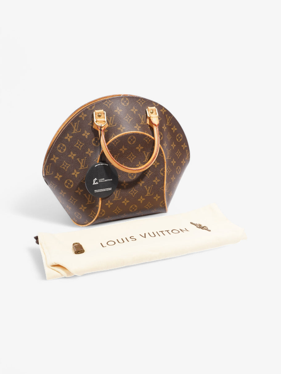 Louis Vuitton Ellipse Monogram Coated Canvas MM Image 10
