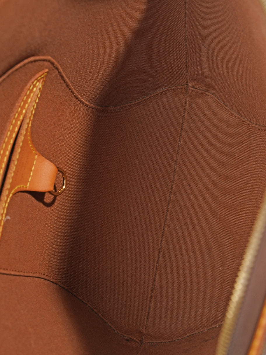 Louis Vuitton Ellipse Monogram Coated Canvas PM Image 8