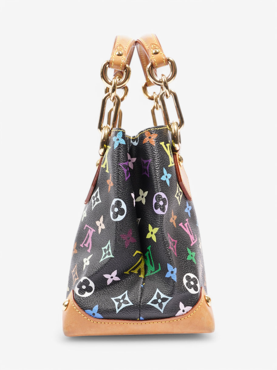 Louis Vuitton Audra Black / Multicolour Coated Canvas Image 5